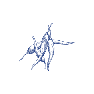 Tuschezeichnungen von Chili