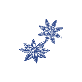 Tuschezeichnungen von Sternanis